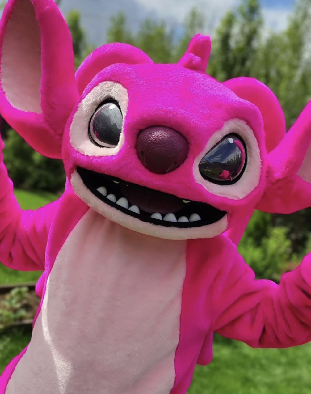 Mascot Madness That Kids Will Love