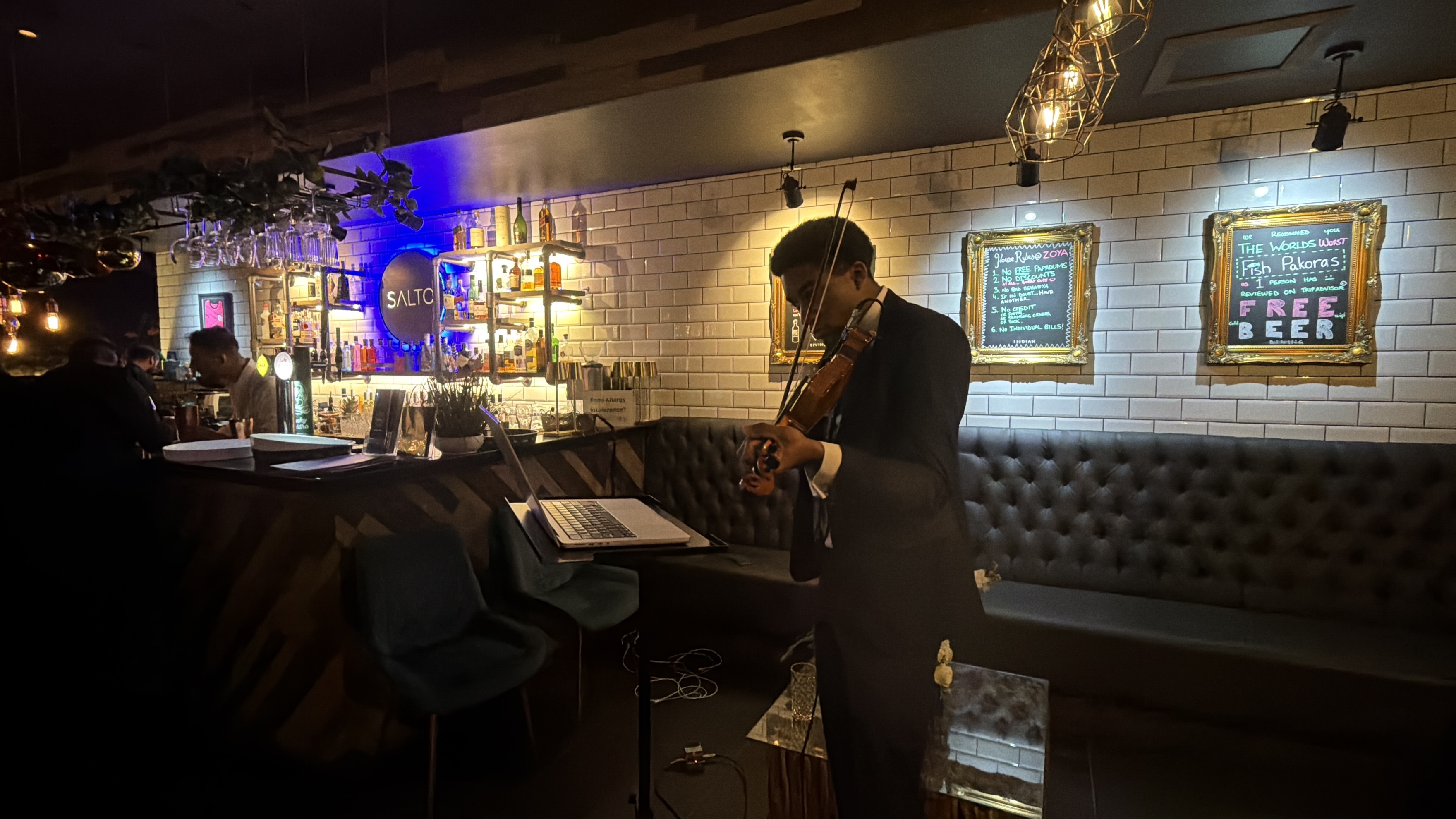 Enchanting Violinist for Weddings & Special Events