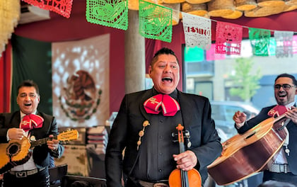 'México Canta' Authentic Mariachi Band Experience