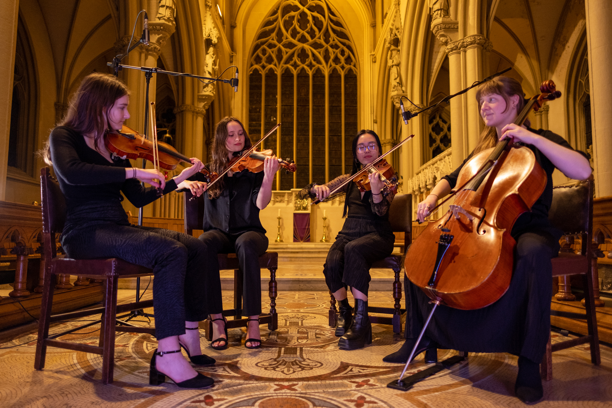 Lyra Strings event supplier Manchester