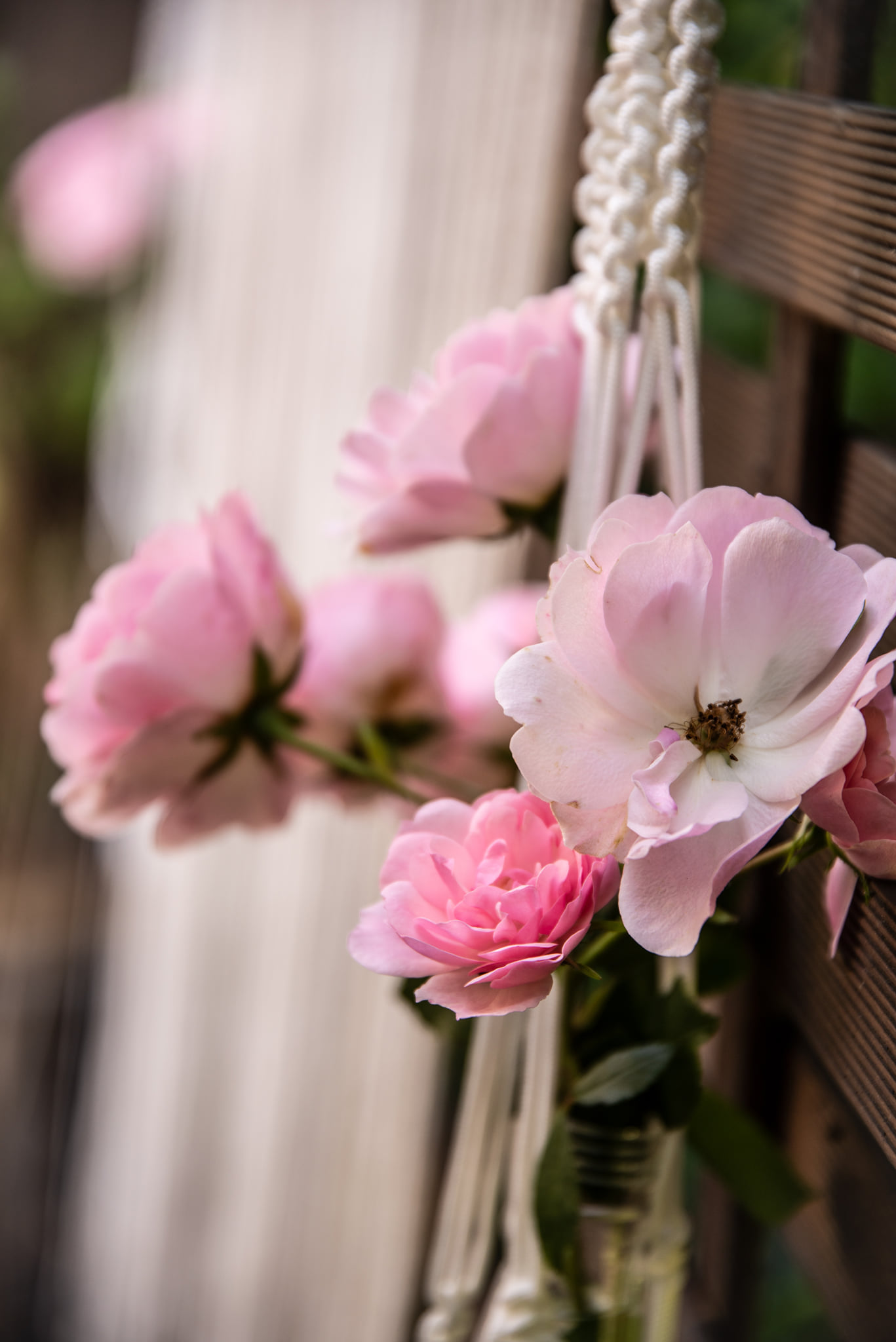 Catching the Most Honest & Emotional Moments