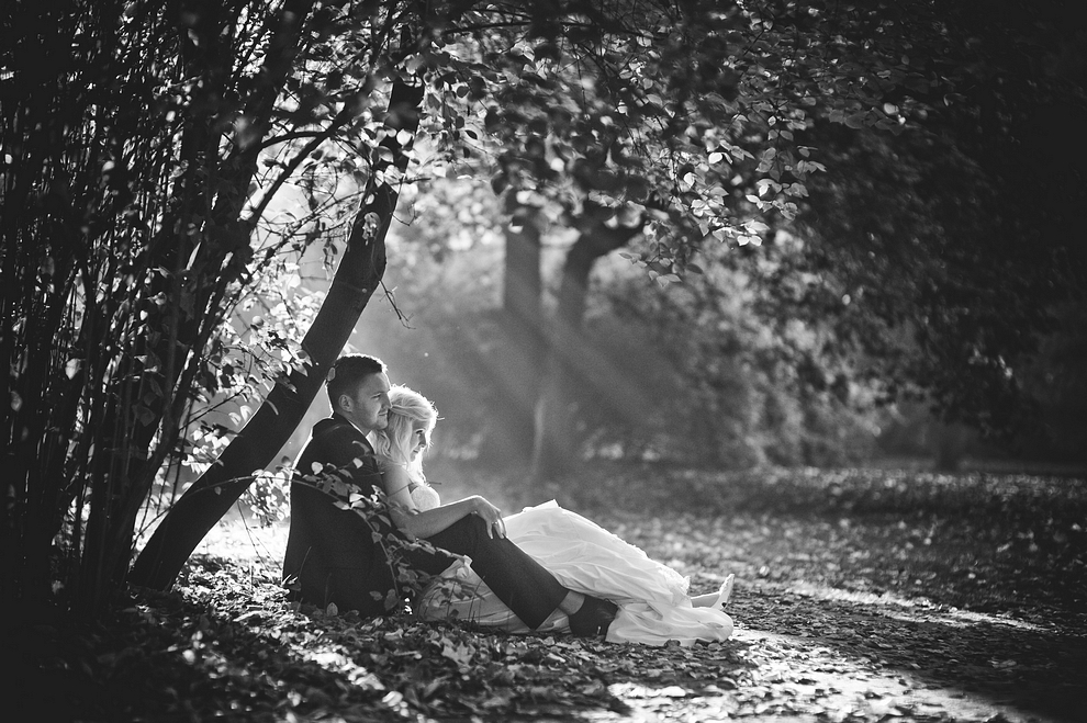 Wedding Journey Through Love, Crying, Laughter & Stories