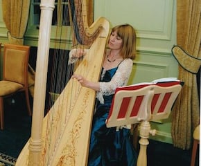 Oxfordshire harpist for your special occasion 