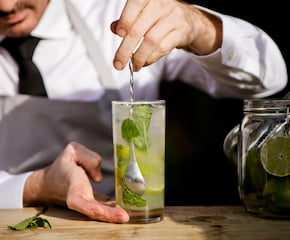 Expert Cocktail Bartender Mixologist