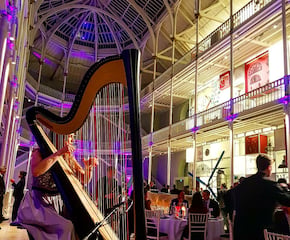 Professional Harpist for your stylish event - Acoustic or Electric Harp