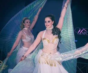 Dynamic Belly Dance Show With An Atmosphere Of 1001 Nights
