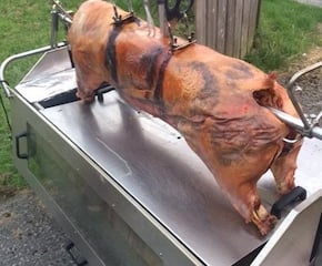 Hog Roast which Melts in the Mouth & Truly Succulent