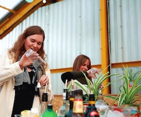 Fun Cocktail Masterclass with Professional Mixologists
