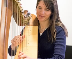 Alice Wall Ambient Harp Music in a Variety of Styles