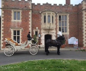 Arrive In Style With Cinderella's Glass Carriage
