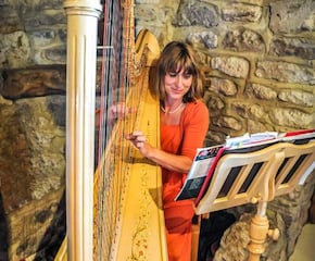 Oxfordshire harpist for your special occasion 