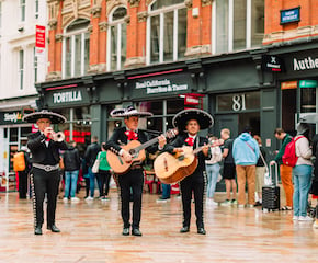 3 piece x 1 set. Performing Traditional & Popular Hits with Mariachi Twist