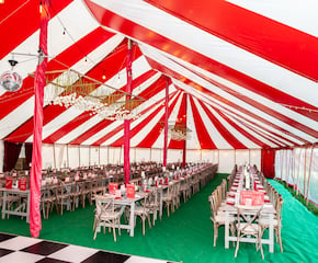 Large Wedding, Event or Party - Fits 250 Seated Guests