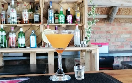 Trained Mixologist to Make Delicious Cocktails