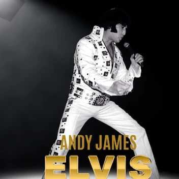 Elvis In Concert By Andy James