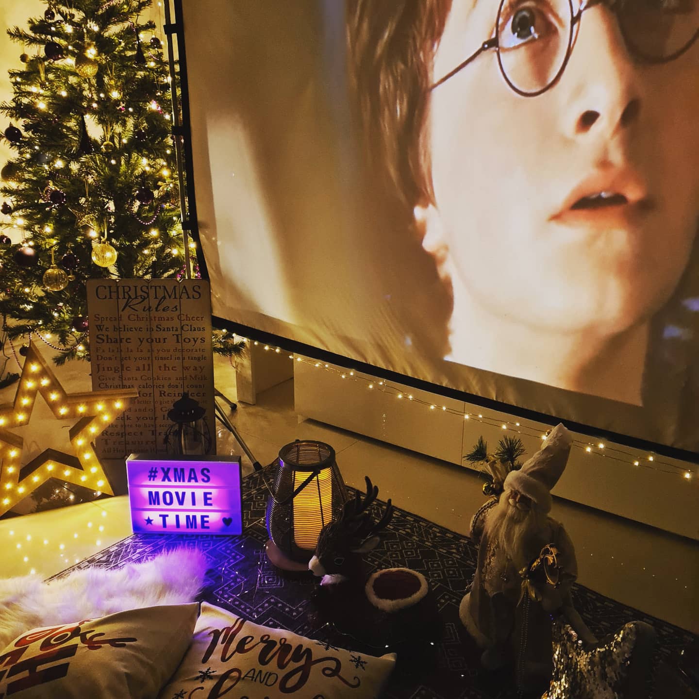 Home Cinema Luxury Set Up