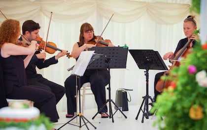 'The Quartet' Create Beautiful String Music