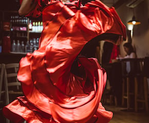 Passionate Flamenco Performance with Live music
