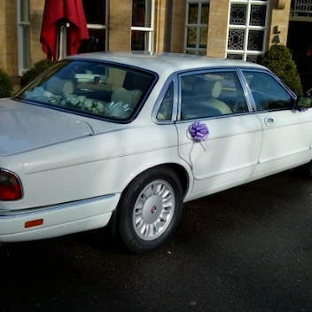 Ribbons And Bows Wedding Cars