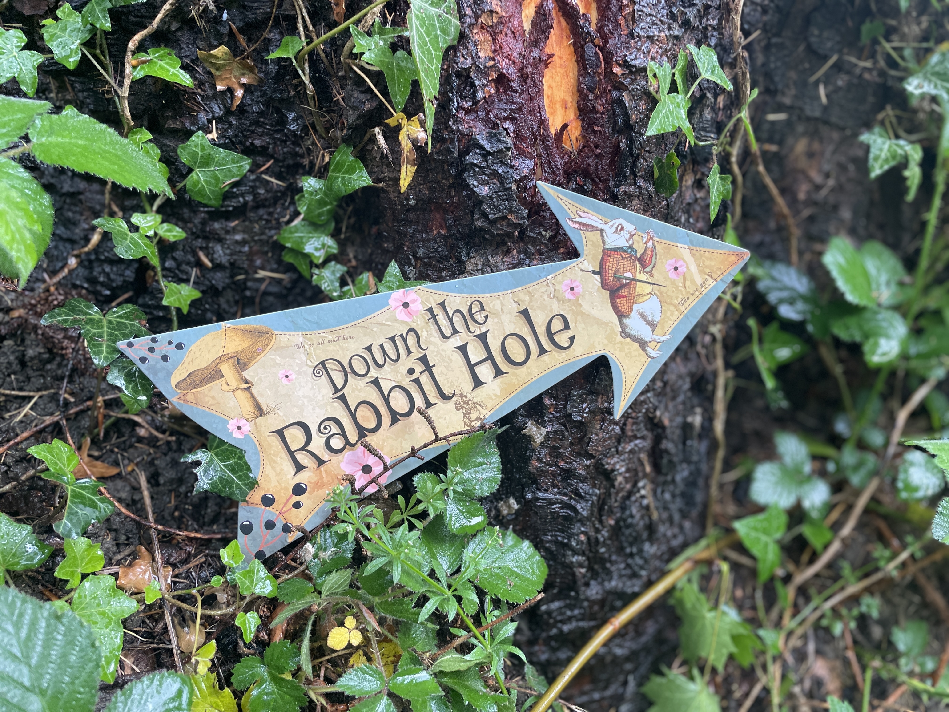 Alice In Wonderland Themed Sleepover 5-Meter Bell Tent