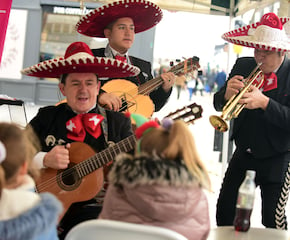 3 piece x 1 set. Performing Traditional & Popular Hits with Mariachi Twist
