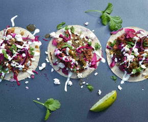 Bold Fresh Flavours of Mexico