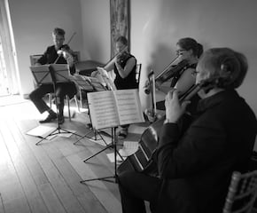 Sonore String Quartet - Wedding Musicians of the Year (S Eng). 
