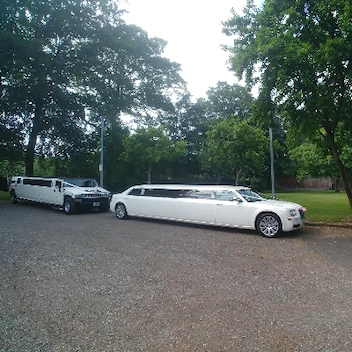 Men In White Limousines