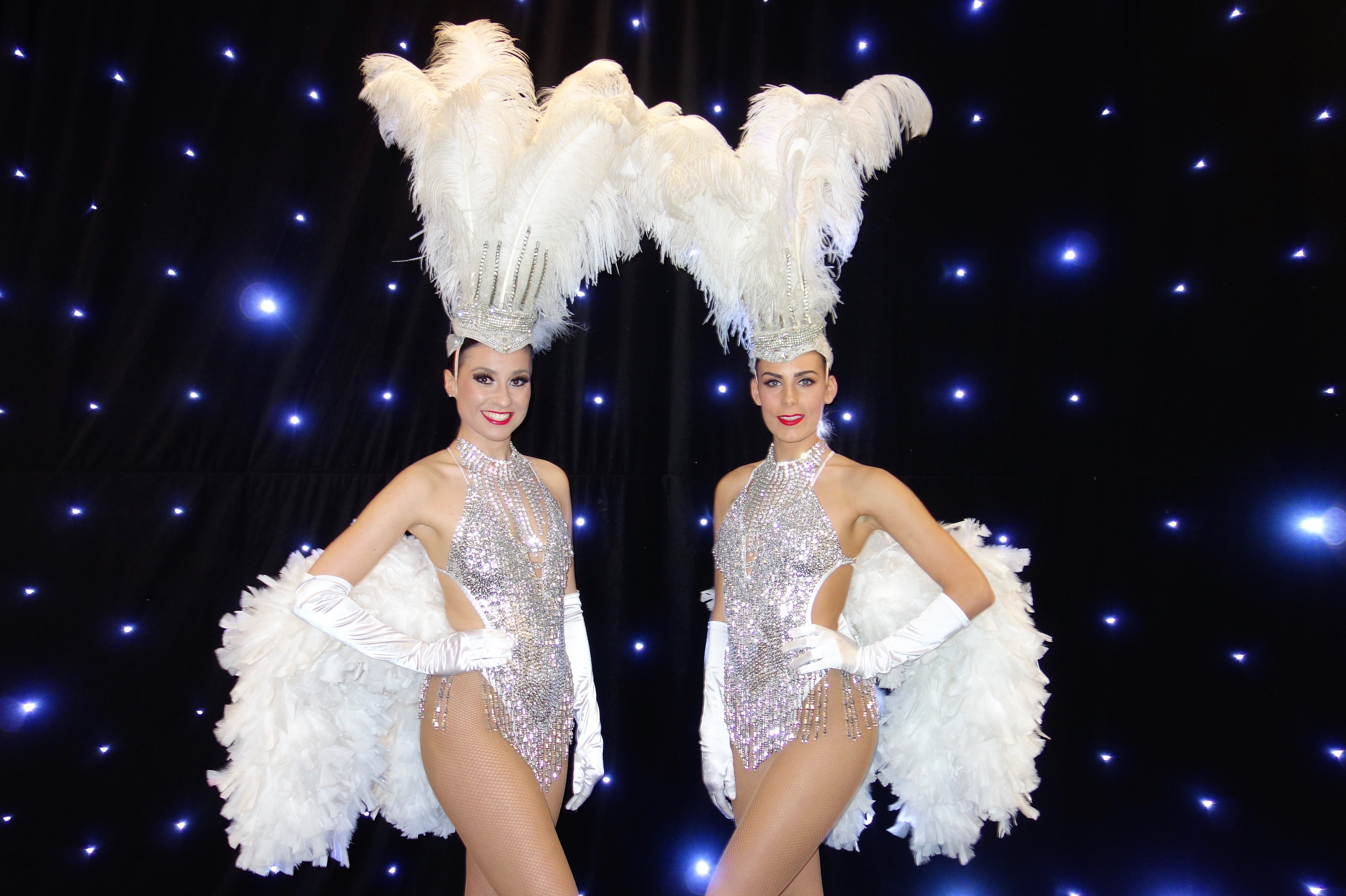 Las Vegas Dream Night Show