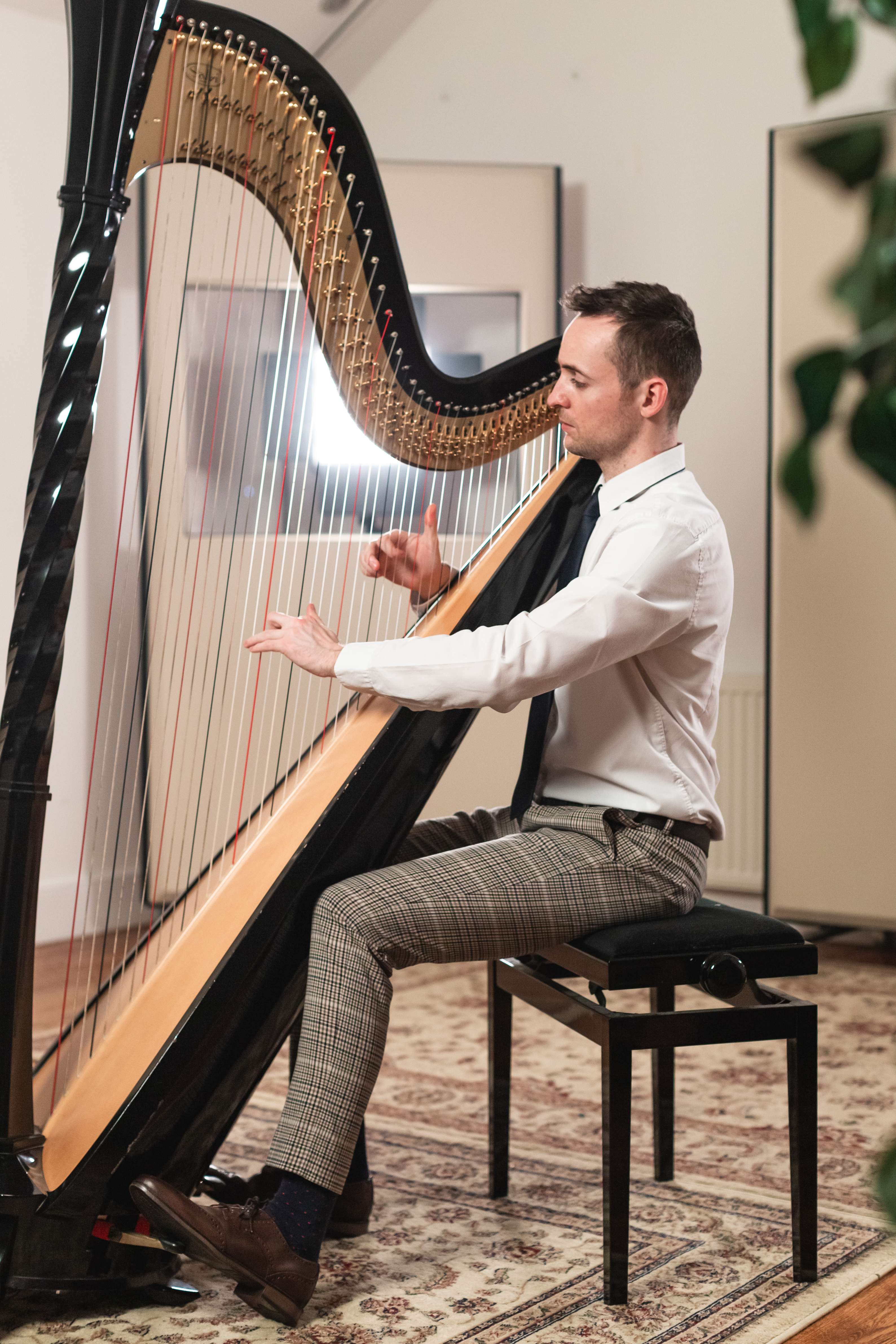 International Award-Winning Harpist Tomos Xerri