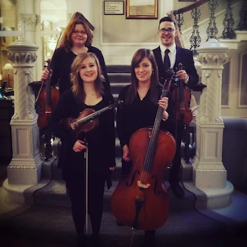 Vitula String Quartet