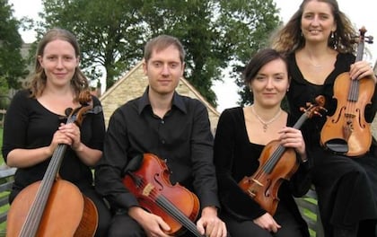 'Magenta Strings' Vibrant Young String Ensemble