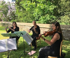 Experienced String Ensemble 'The Bay'
