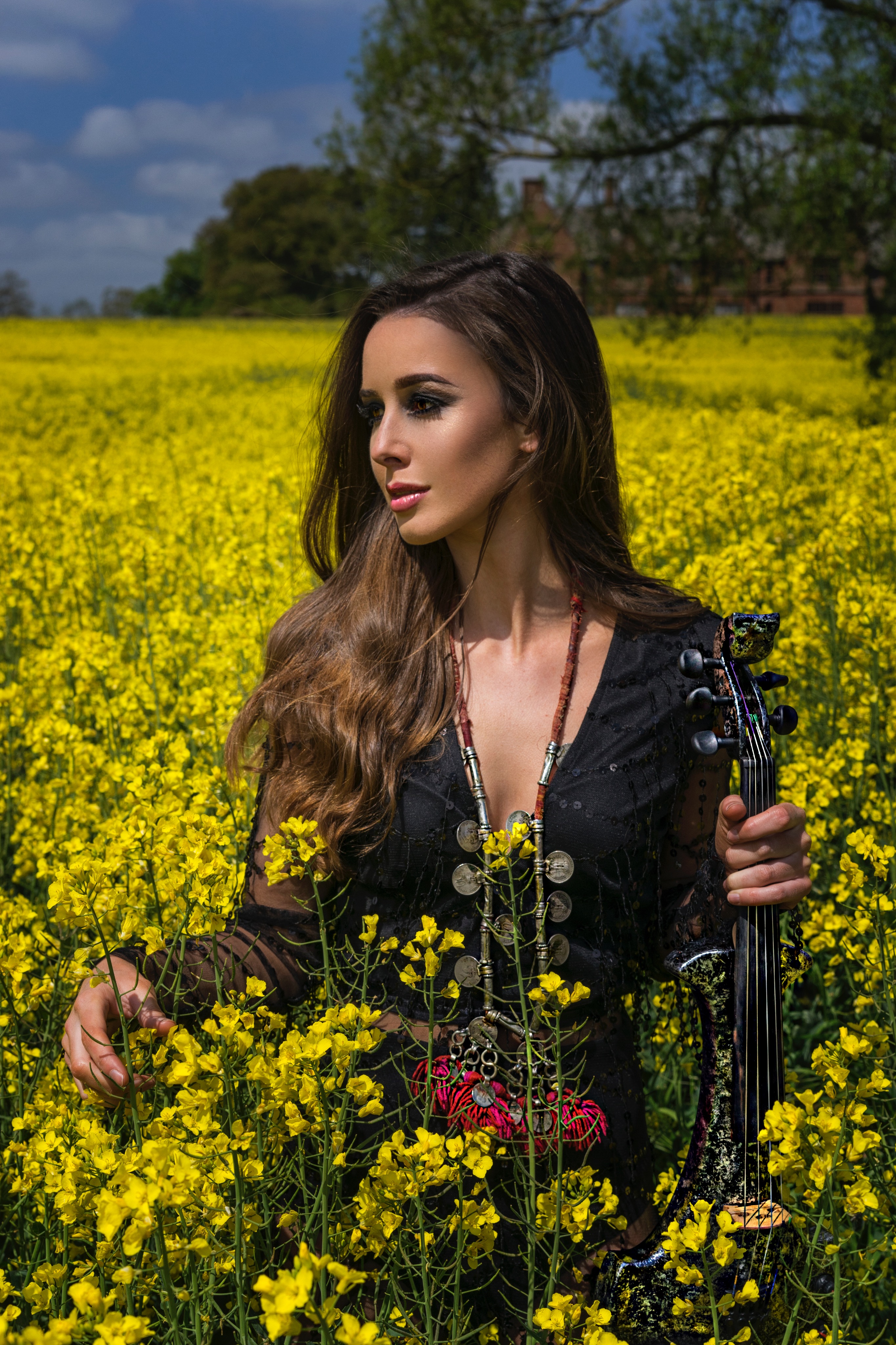 Electric Violin Colette Hazen