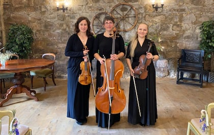 Professional String Ensemble 'Passion Strings' 