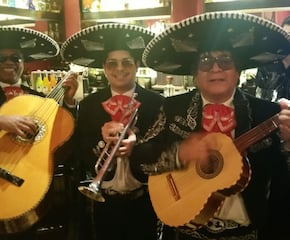 Mariachi Tequila Plays Authentic Lively Mexican & UK Pop Covers