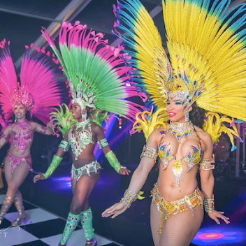 Brazilian Fantasy Ltd