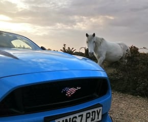 Arrive In Style In Stunning Light Blue Mustang GT