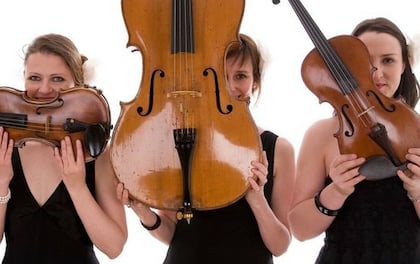 'Bowfiddle Strings' Trio