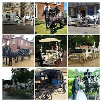 Snailriver Carriage Horses