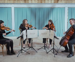 'Rosewood String Quartet' with Repertoire of Classic & Modern Arrangements