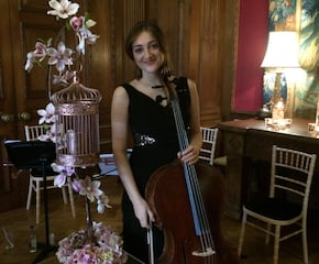 Eliza Rose Playing Best-Loved Classical & Popular Music