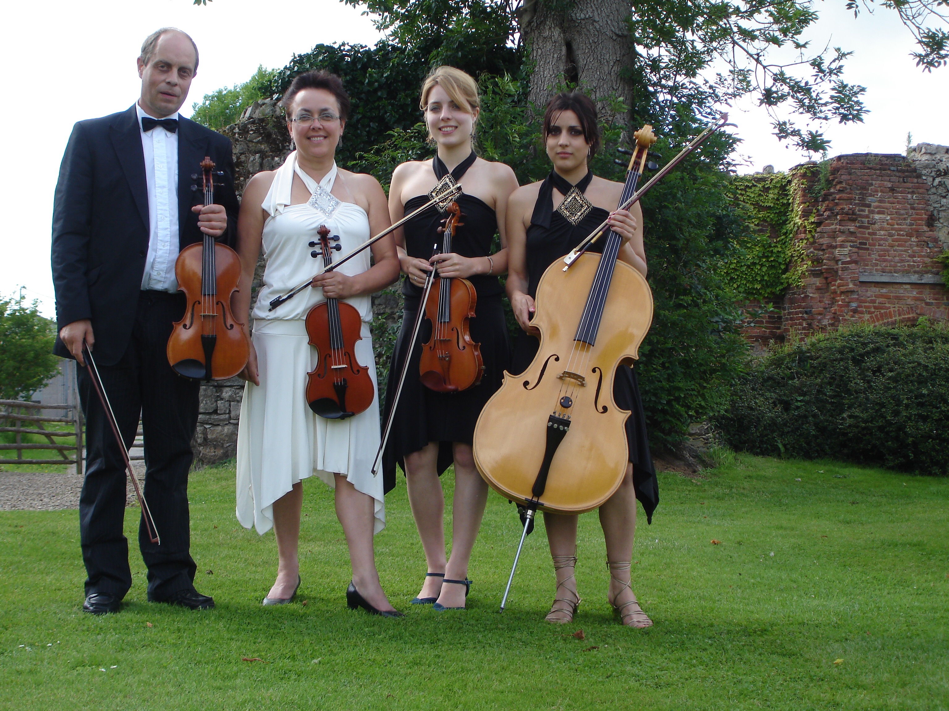 Folk Noggins - Ceilidh Band