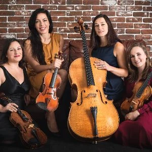 Accordi String Quartet & Trio