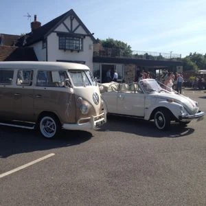 All Dubbed Up Events