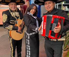 Los Mariachi Bros - Traditional Mexican & English Music - 3 Piece