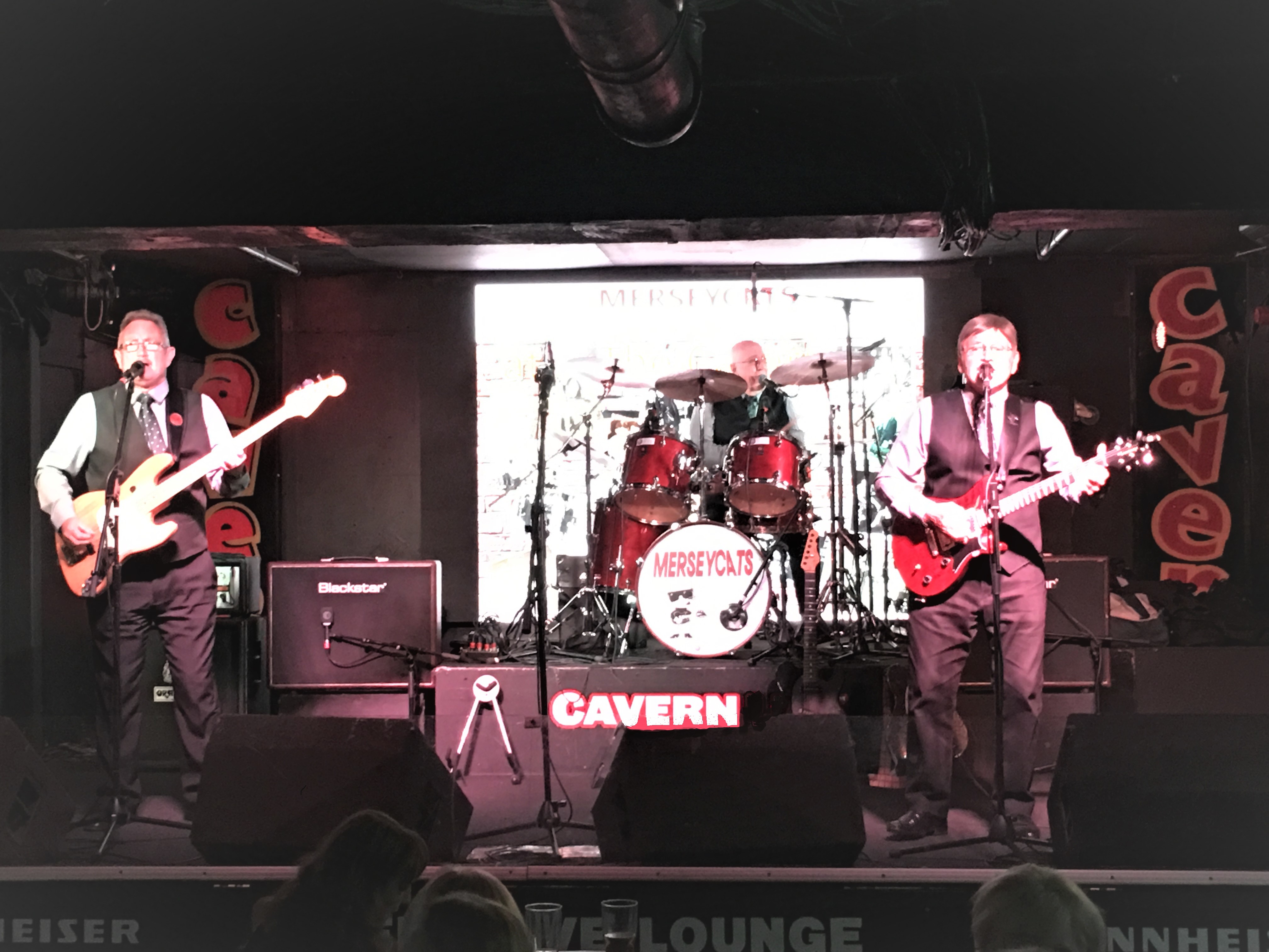 'The Rockin' 60s' Rock & Roll and 60s Band