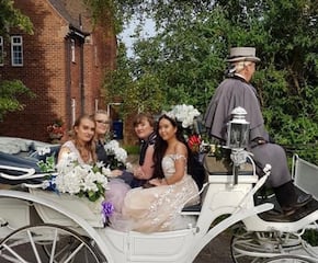 Arrive in Style in a  Horse and Carriage