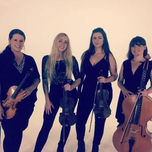 Echo String Quartet