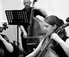 Professional & Versatile Cellist Vikki Hoodless